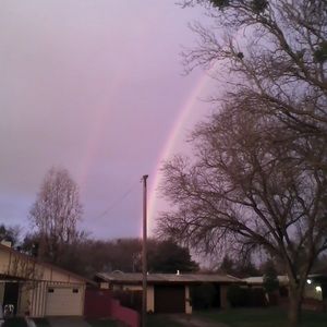 Meet your Posher, Tarra